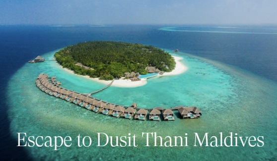 dusit.com شفرة تخفيض